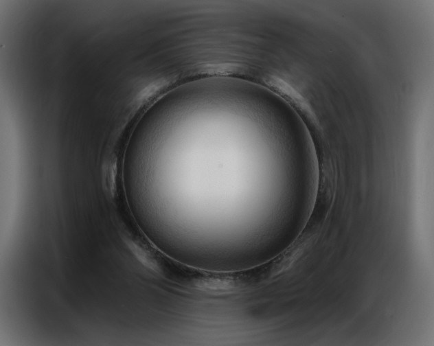 X0000086900110200704161327
