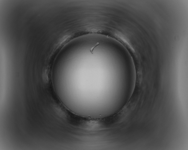 X0000086900114200704161327