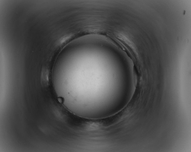 X0000086900115200704161327