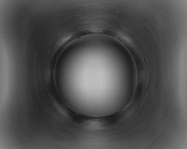 X0000086900120200704161327