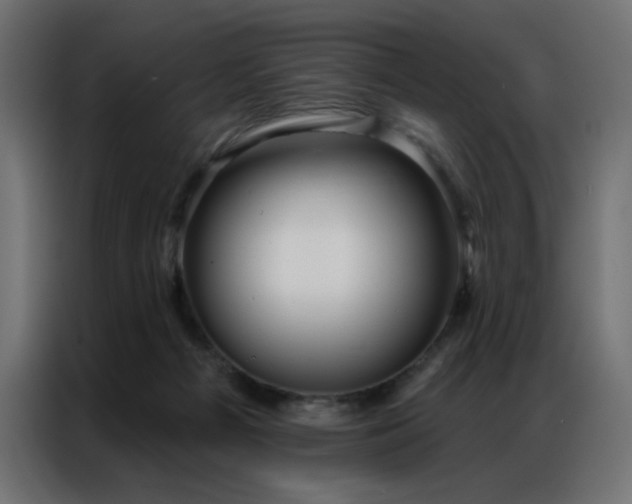 X0000086900121200704161327