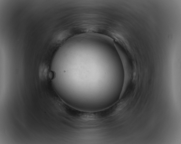 X0000086900123200704161327