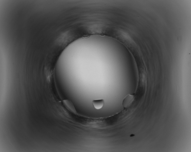 X0000086900125200704161327