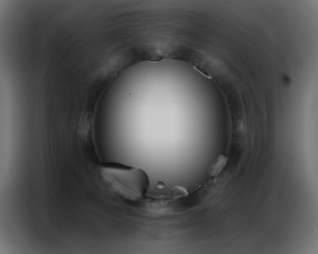X0000086900129200704161327