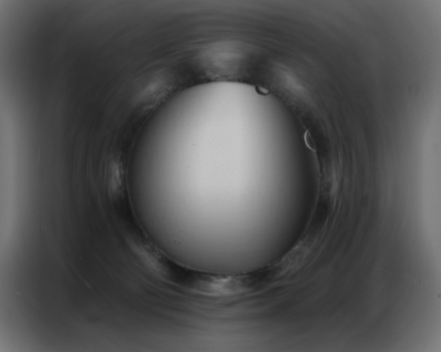 X0000086900130200704161327