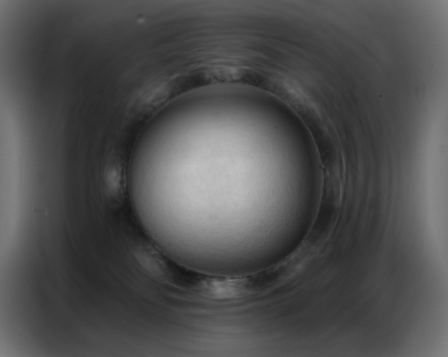X0000086900134200704161327