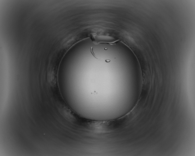 X0000086900136200704161327