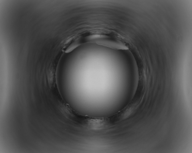 X0000086900139200704161327