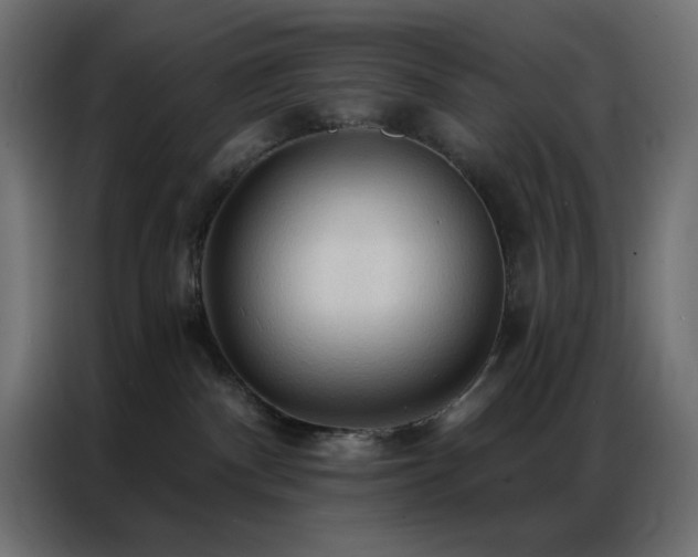 X0000086900140200704161327