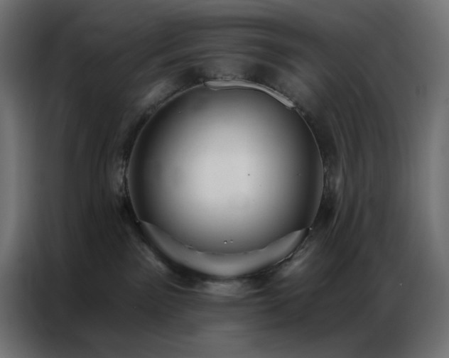 X0000086900141200704161327