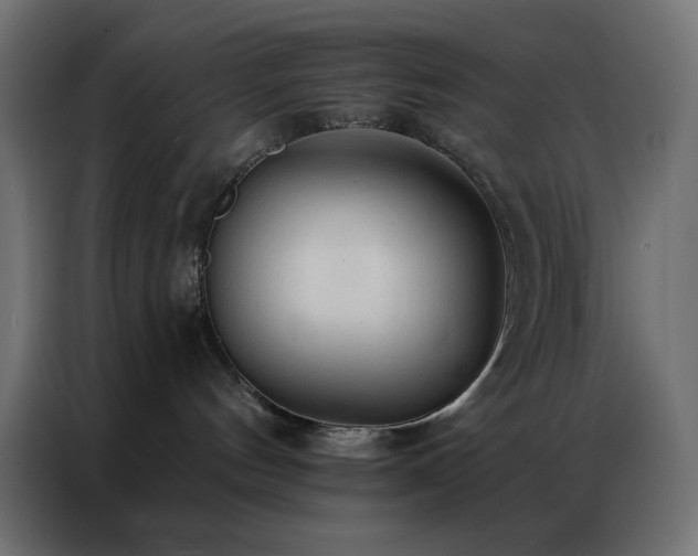 X0000086900144200704161327