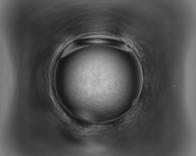 X0000086900145200704161326