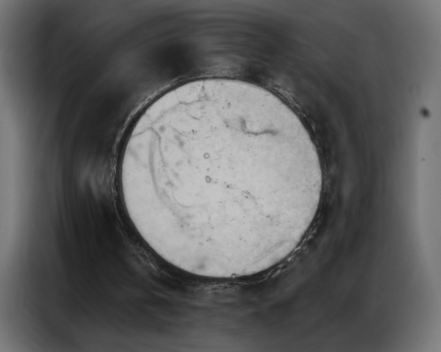 X0000086900146200704161326