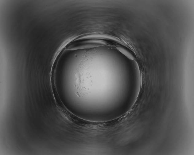 X0000086900147200704161326