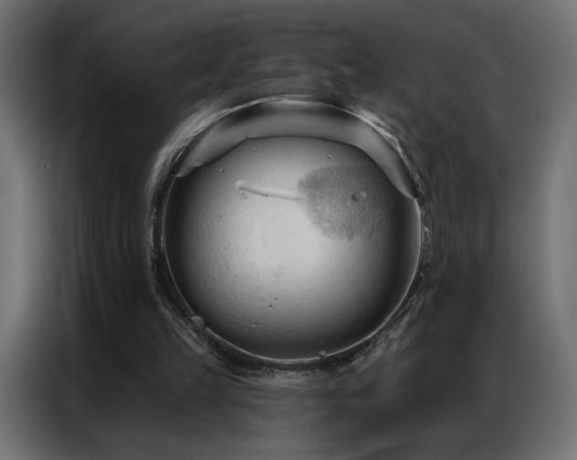 X0000086900149200704161326