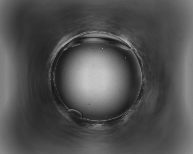 X0000086900151200704161326