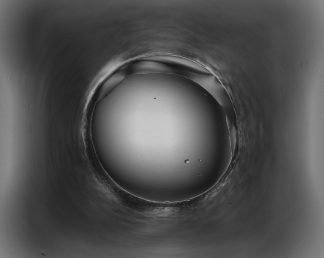 X0000086900152200704161326