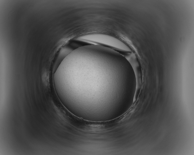 X0000086900154200704161326