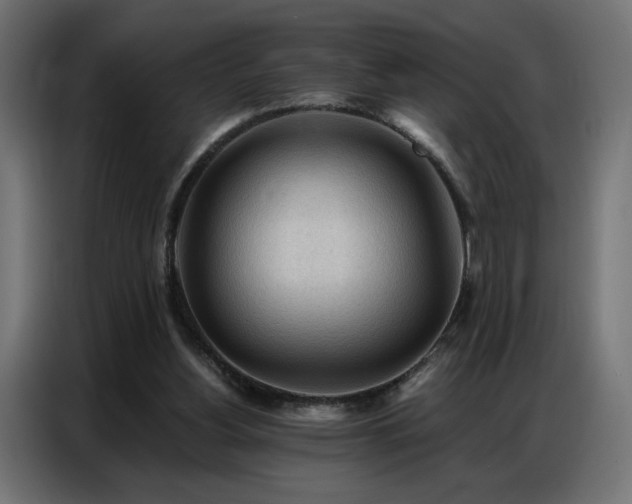 X0000086900156200704161326