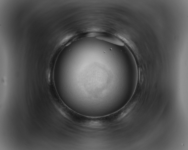 X0000086900157200704161326
