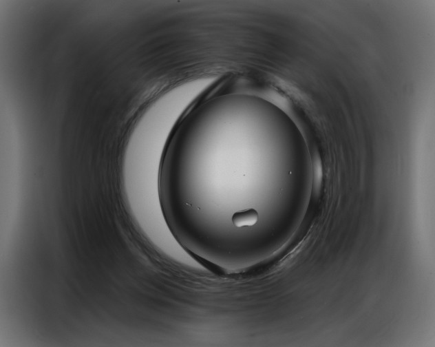 X0000086900158200704161326