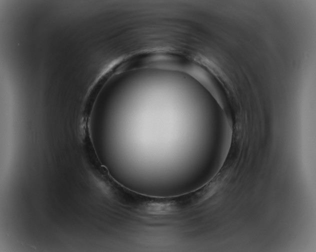 X0000086900160200704161326