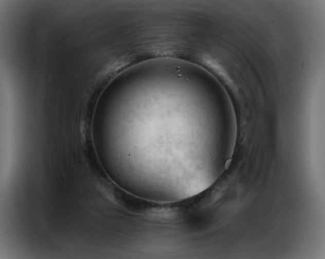X0000086900161200704161326