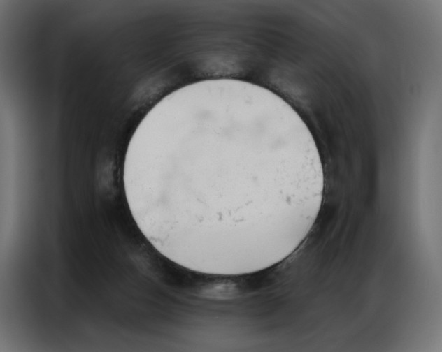X0000086900162200704161326