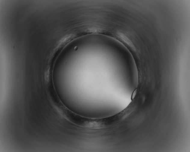 X0000086900163200704161326