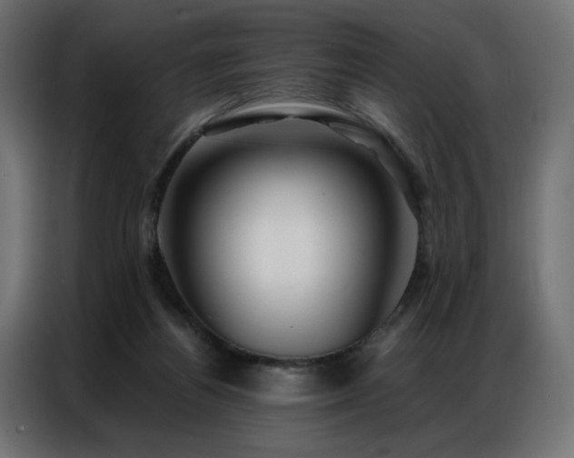 X0000086900164200704161326