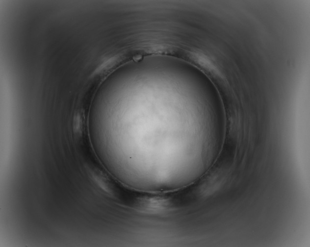 X0000086900165200704161326
