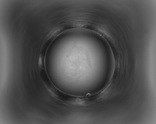 X0000086900166200704161326