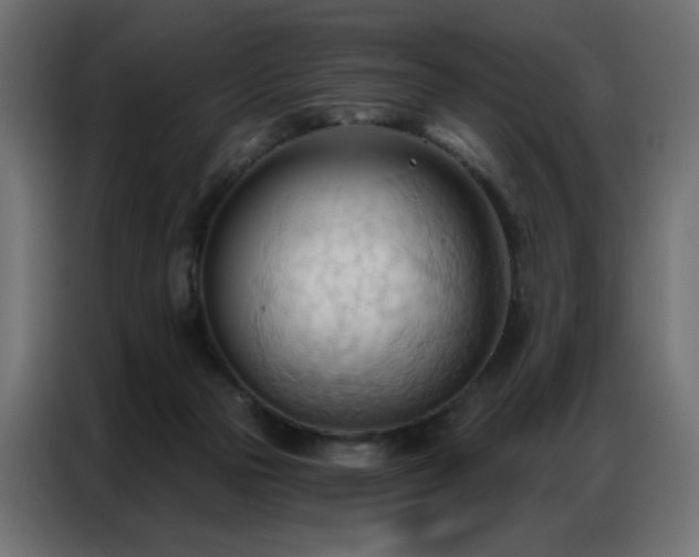 X0000086900169200704161326