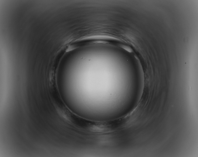 X0000086900171200704161326