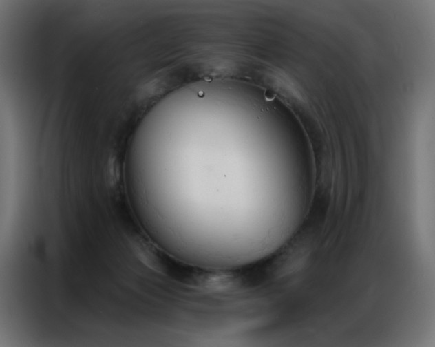 X0000086900173200704161326