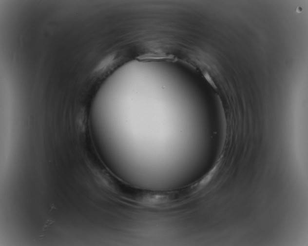 X0000086900174200704161326