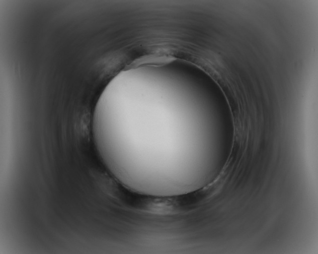 X0000086900175200704161326