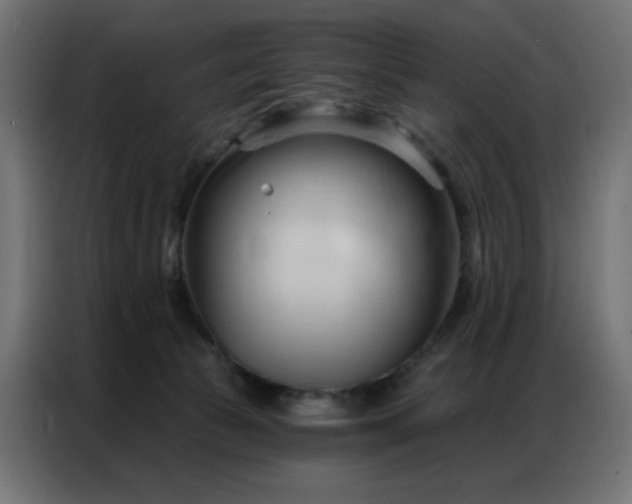 X0000086900177200704161326