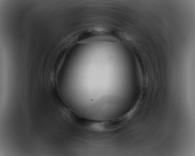 X0000086900178200704161326