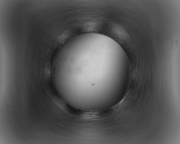 X0000086900179200704161326
