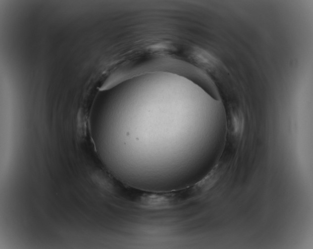 X0000086900180200704161326