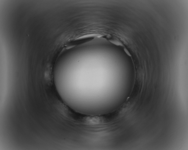 X0000086900181200704161326