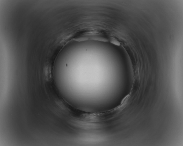 X0000086900182200704161326