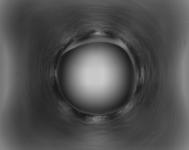 X0000086900184200704161326