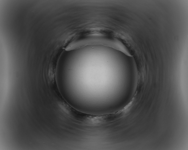 X0000086900186200704161326
