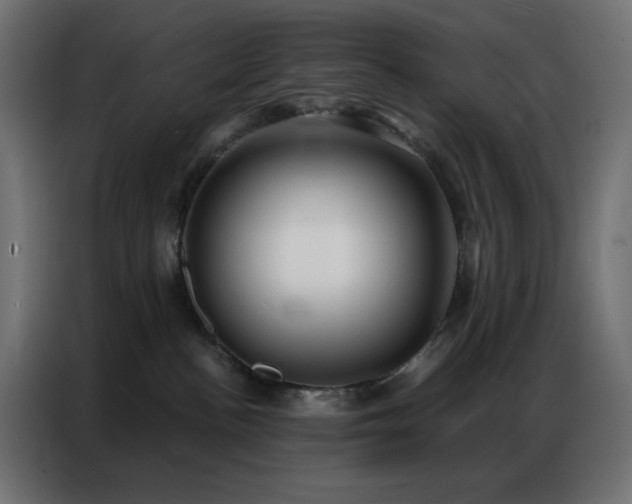 X0000086900188200704161326