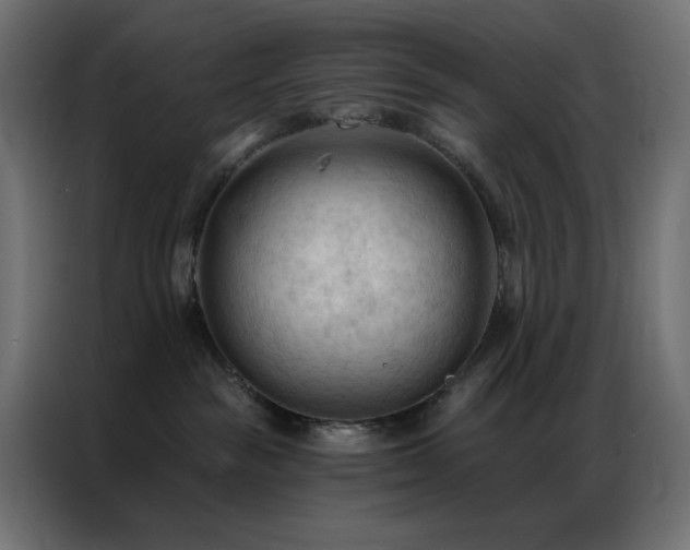 X0000086900189200704161326