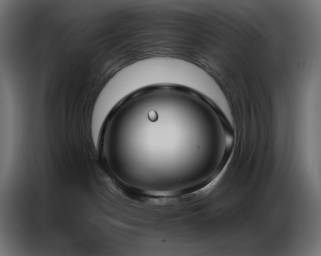 X0000086900190200704161327
