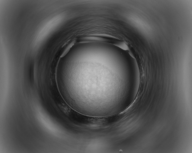 X0000086900191200704161327