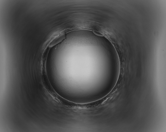 X0000086900194200704161326